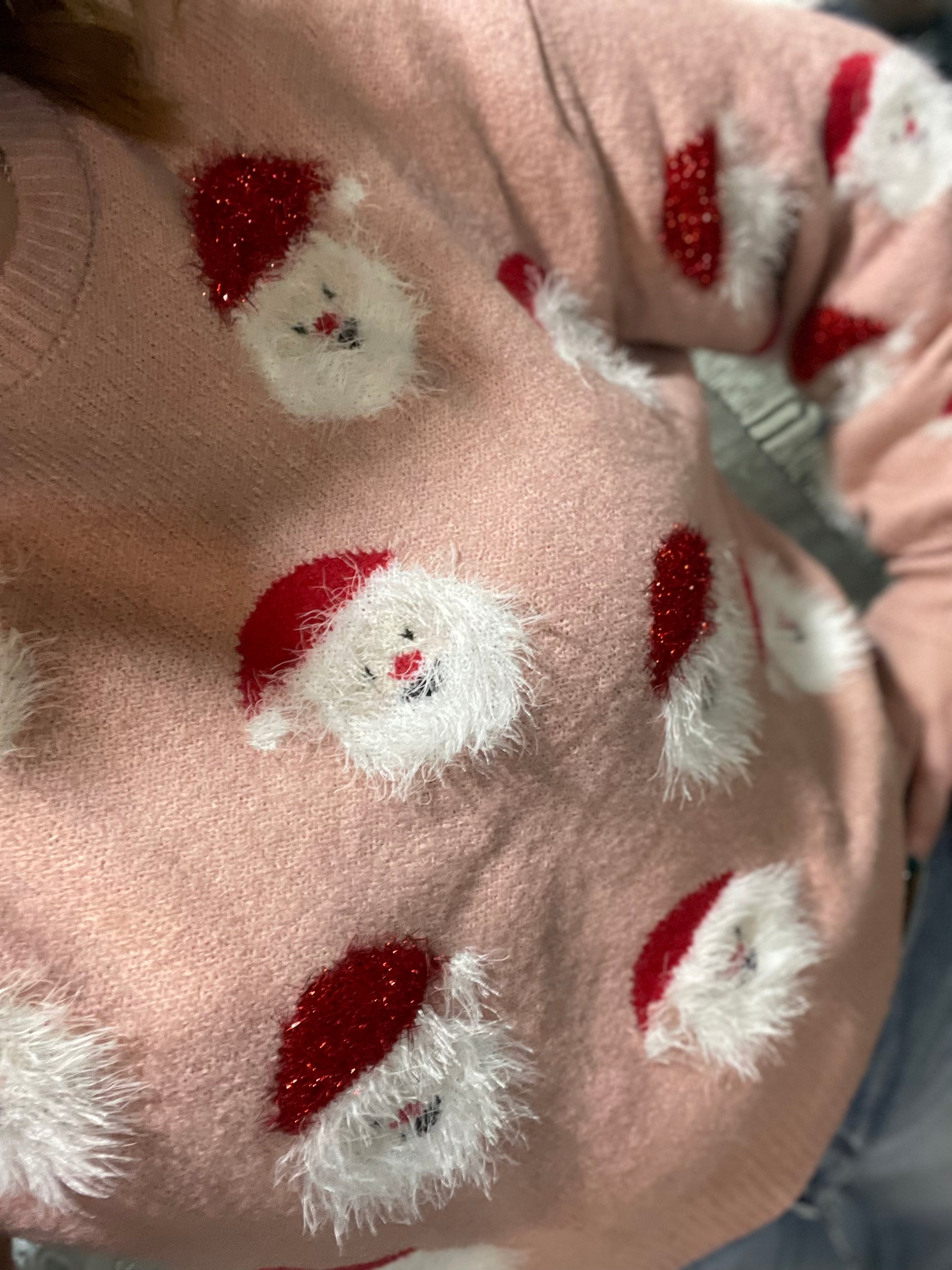 Holly Jolly Santa Print Pullover