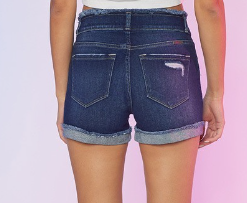 The Charlotte High Rise Shorts