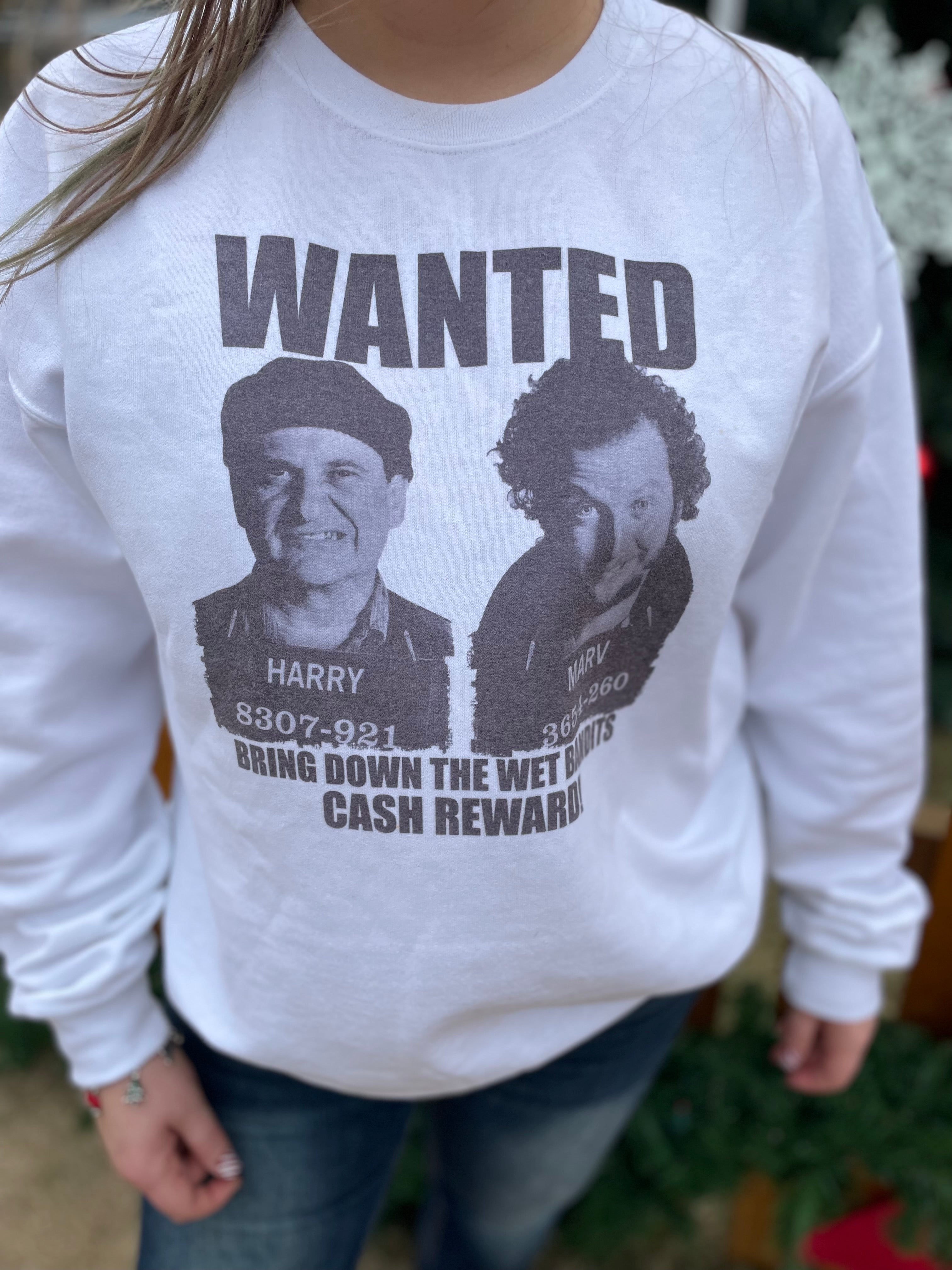 Wanted: The Wet Bandits